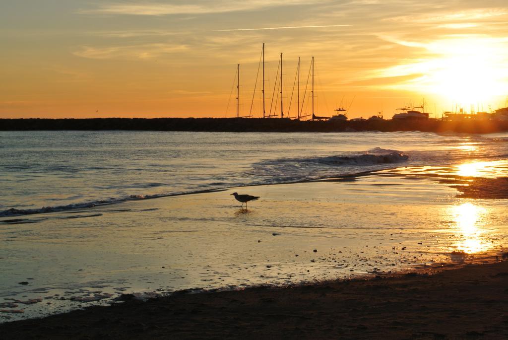 Hotel Les Palmiers En Camargue แซ็งต์-มารี-เดอ-ลา-แมร์ ห้อง รูปภาพ