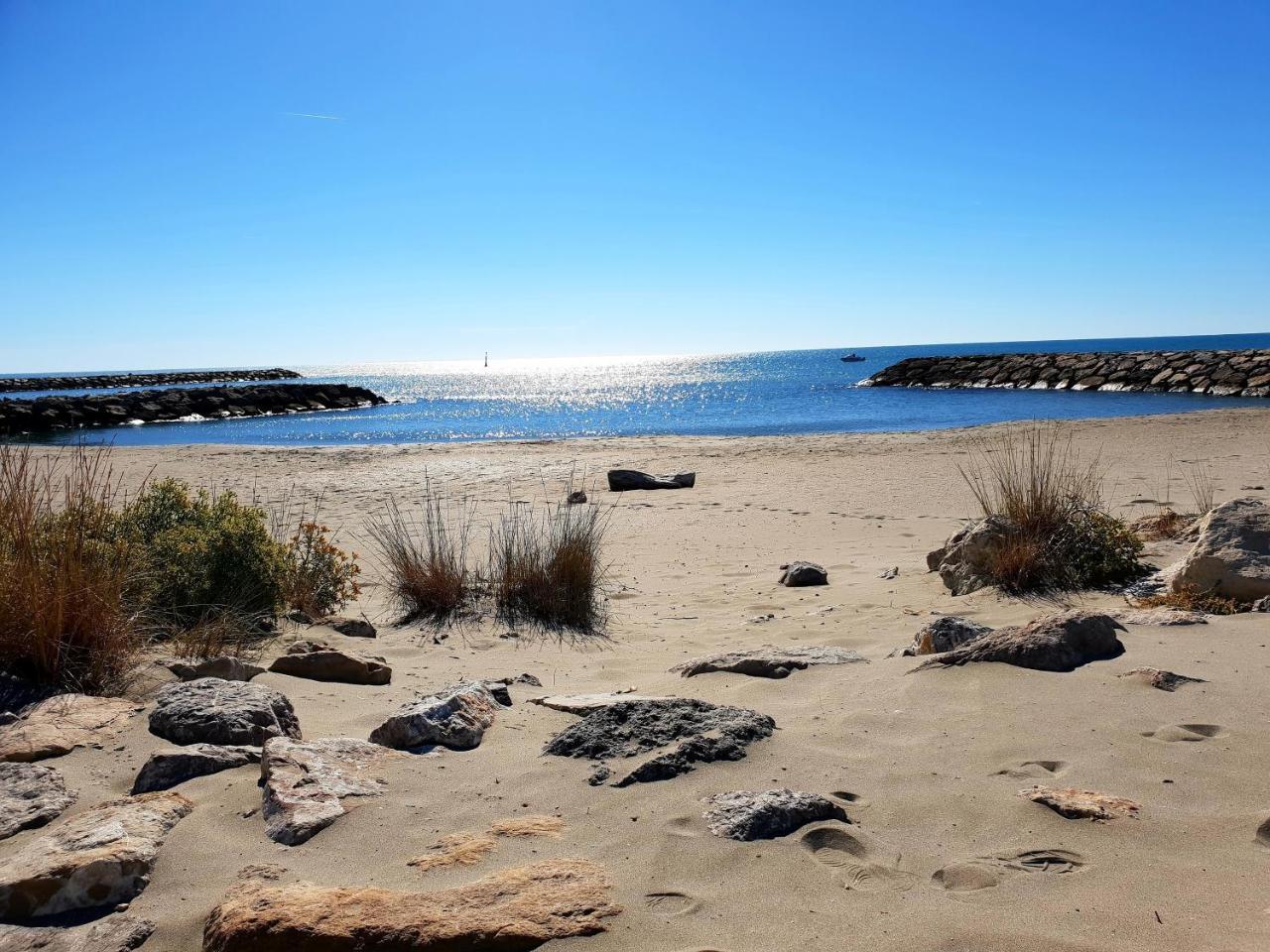 Hotel Les Palmiers En Camargue แซ็งต์-มารี-เดอ-ลา-แมร์ ภายนอก รูปภาพ