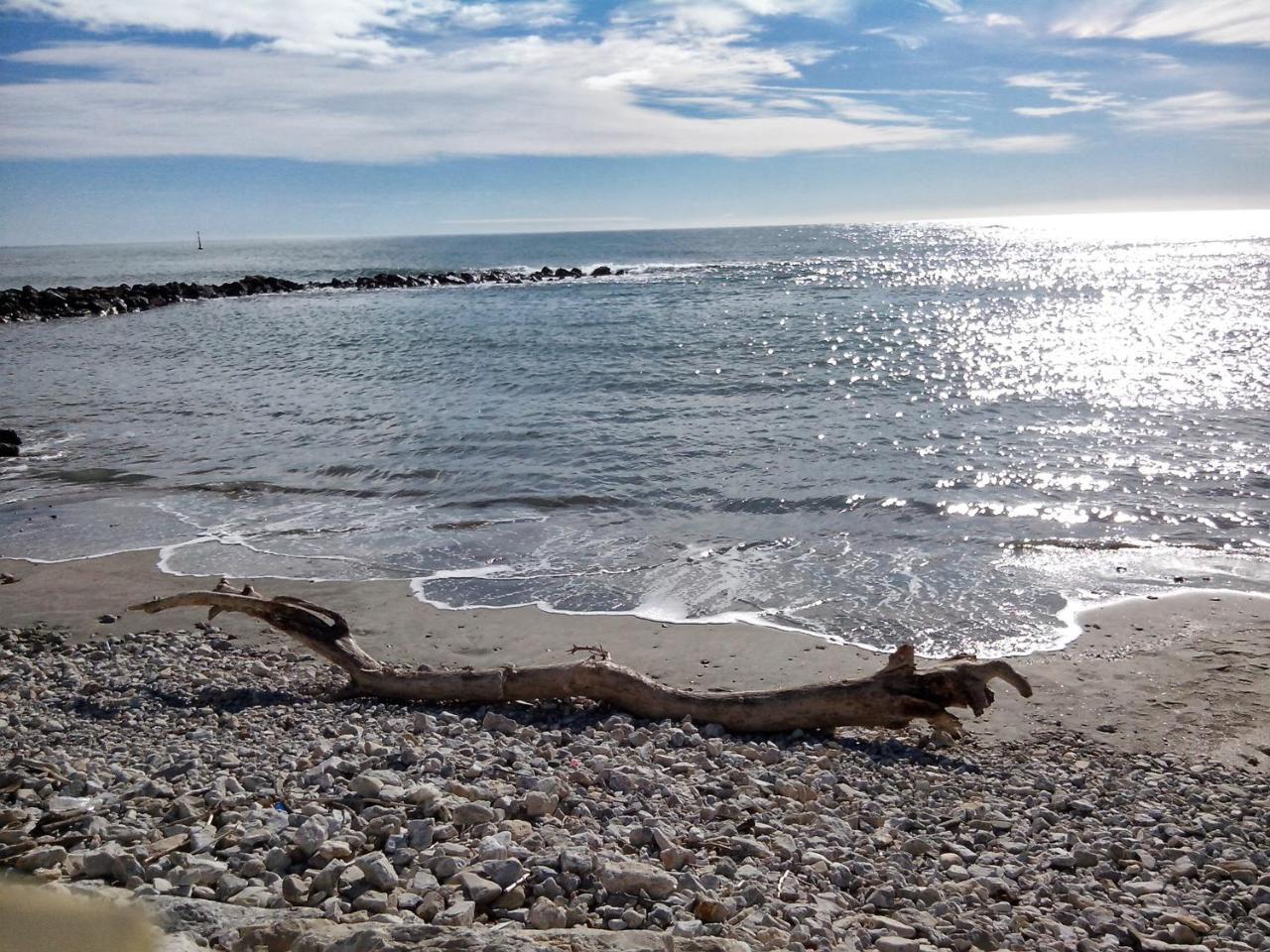 Hotel Les Palmiers En Camargue แซ็งต์-มารี-เดอ-ลา-แมร์ ภายนอก รูปภาพ