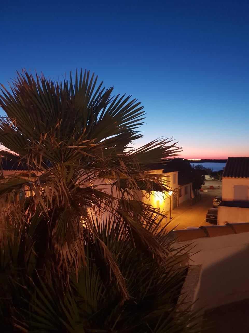 Hotel Les Palmiers En Camargue แซ็งต์-มารี-เดอ-ลา-แมร์ ภายนอก รูปภาพ